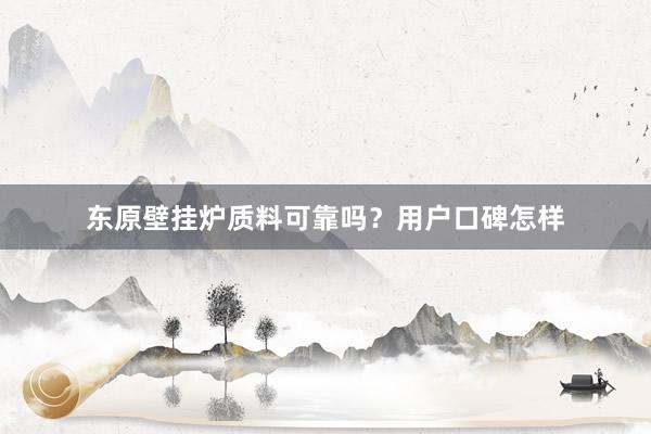 东原壁挂炉质料可靠吗？用户口碑怎样